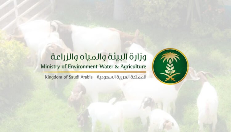 وزارة البيئة والمياه والزراعة