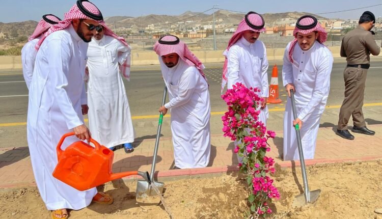 محافظة العقيق